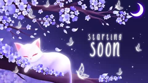 Sassy Sami Kittyn online show from 11.03.25