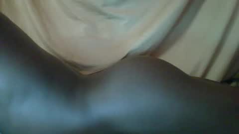 saylich online show from 10.15.25