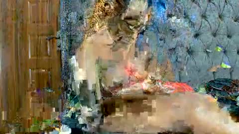 Snapshot of scarlet_seductress chatting on 03.02.26 scarlet seductress online show from 03.02.26