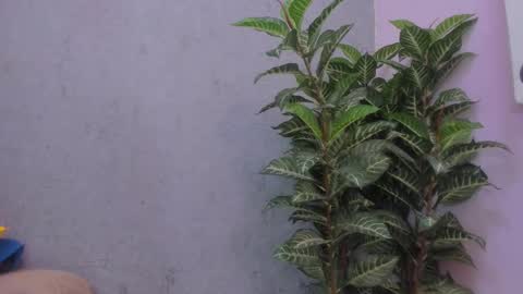 Snapshot of scarlett646 chatting on 11.29.25 Scarlett 3 online show from 11.29.25