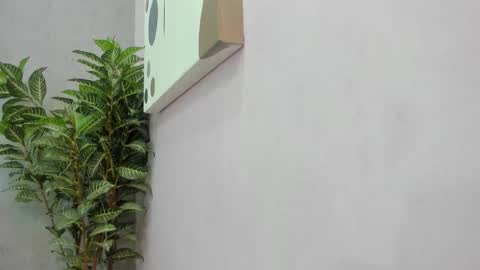 Snapshot of scarlett646 chatting on 12.02.25 Scarlett 3 online show from 12.02.25