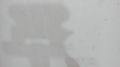 Snapshot of scarlett646 chatting on 12.04.25 Scarlett 3 online show from 12.04.25