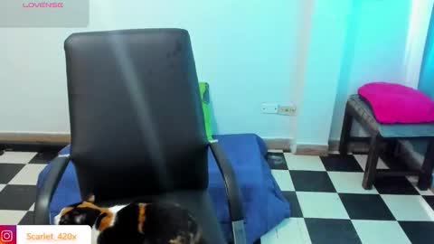 Snapshot of scarlett__cooper__ chatting on 03.19.26 Scarlett online show from 03.19.26