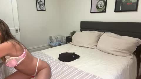 Snapshot of scarletterose_504259 chatting on 02.25.26 Scarlett online show from 02.25.26