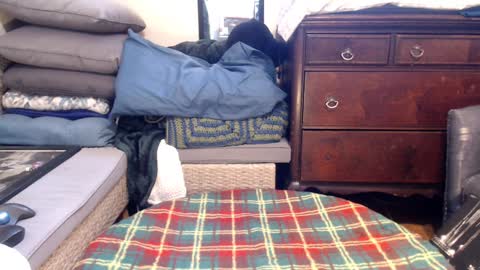 Scarlotta online show from 02.08.25