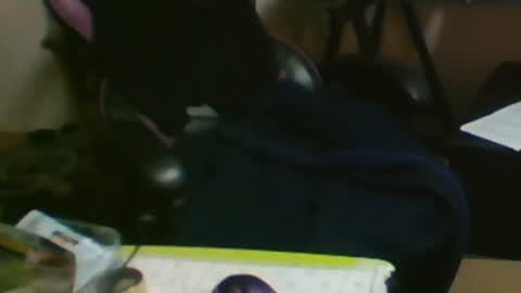 Snapshot of schnico chatting on 10.20.25 schmidti online show from 10.20.25