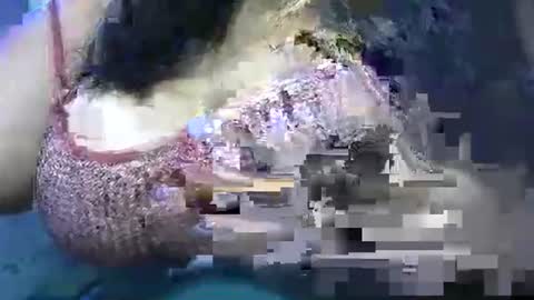 mai latina online show from 04.25.26