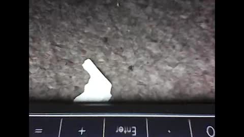 Snapshot of scots_repeater chatting on 02.14.25 scots_repeater online show from 02.14.25