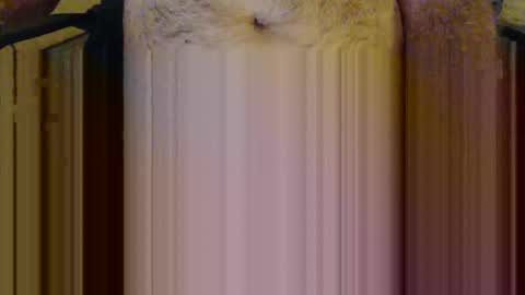 scott1usa online show from 03.06.26