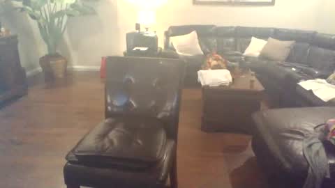 Scottsindeep online show from 11.01.25