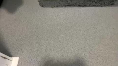 Snapshot of scottyc48 chatting on 10.05.25 scottyc48 online show from 10.05.25