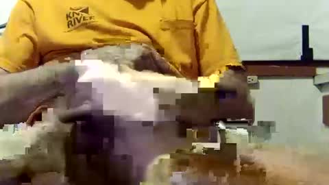 Snapshot of scoutiii chatting on 03.10.25 scoutiii online show from 03.10.25