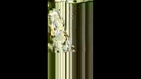 scoutiii online show from 05.01.26