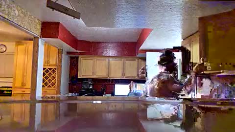 Snapshot of screwnutandbolte chatting on 12.05.25 screwnutandbolte online show from 12.05.25