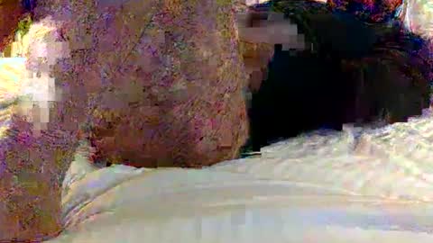 dick online show from 02.01.25