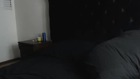 Snapshot of sebastian_muss chatting on 03.06.26 Sebastian online show from 03.06.26