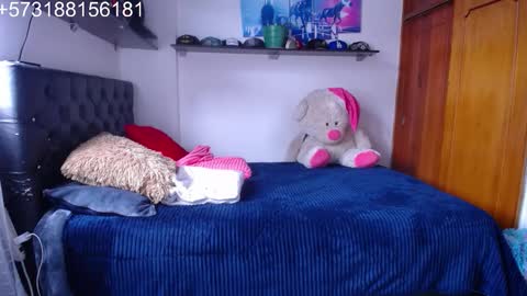 Snapshot of sebastian_posse chatting on 11.24.25 Myystiic online show from 11.24.25