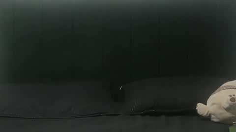 Snapshot of sebastiano_97 chatting on 02.25.25 Sebastiano online show from 02.25.25