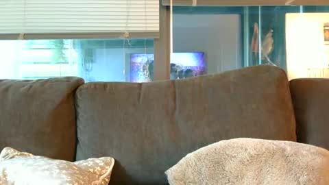 Sebastian Royce online show from 06.14.26