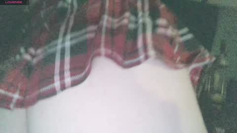 Snapshot of secret18slaveanon chatting on 12.31.24 Sunny online show from 12.31.24