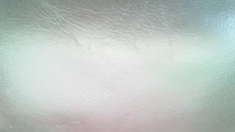 Snapshot of secret18slaveanon chatting on 01.29.25 Sunny online show from 01.29.25