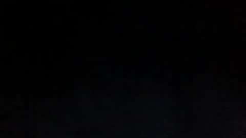 Sunny online show from 03.17.26