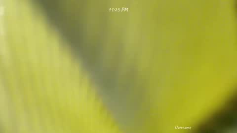 Snapshot of seduce_me_oldman chatting on 03.09.26 seduce_me_oldman online show from 03.09.26