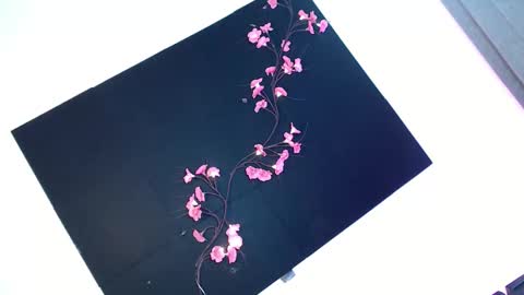 cath online show from 11.28.25