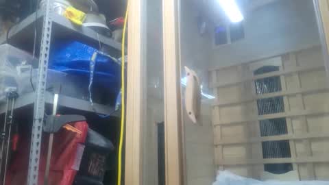 Seeker online show from 10.26.25