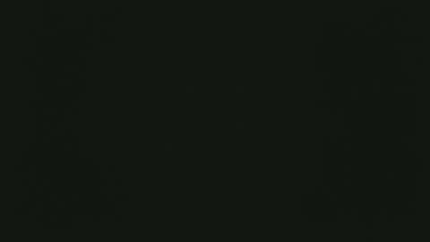 selfpound online show from 12.15.25