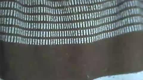 selim selim online show from 11.14.25