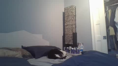 Snapshot of sensualcock4you chatting on 12.20.25 sensualcock4you online show from 12.20.25