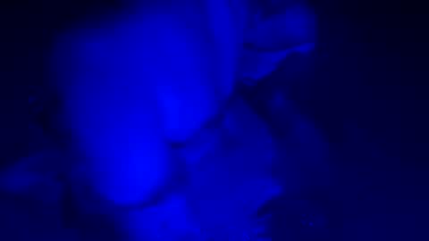sensualsilhoutte online show from 07.11.26