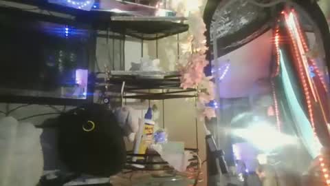 Snapshot of sequoia8888 chatting on 10.29.25 sequoia8888 online show from 10.29.25