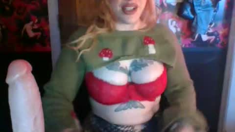 serencigarra online show from 11.11.25