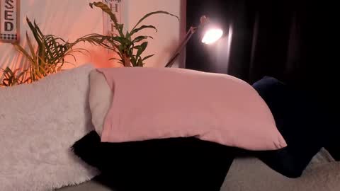 Serenity online show from 01.29.25