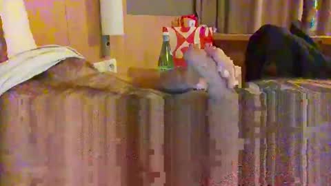 Snapshot of serialfucka69 chatting on 10.27.25 serialfucka69 online show from 10.27.25