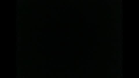 sex81a online show from 04.15.26