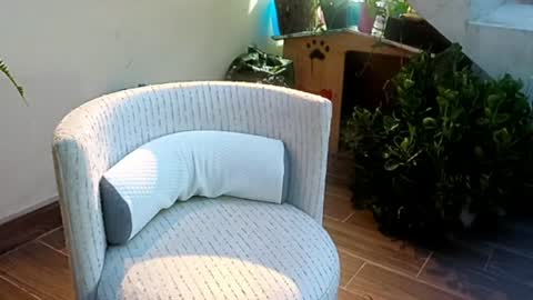 SeXander online show from 06.24.26