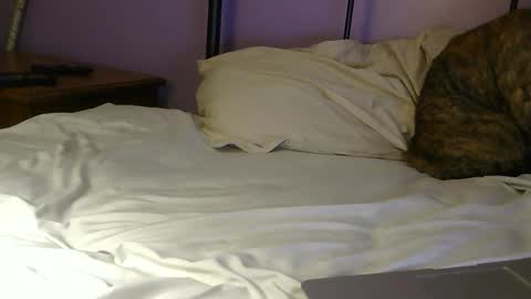sexxxylibra10 online show from 04.25.26