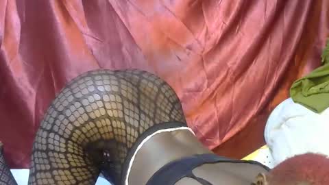 triza online show from 09.21.25