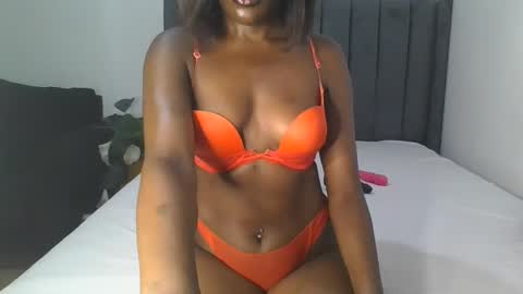 Arria online show from 02.17.26