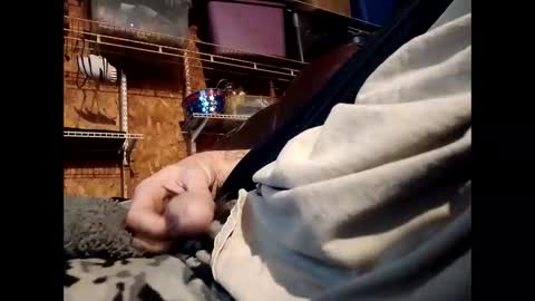 Snapshot of sexy_richy chatting on 11.01.25 RICHY online show from 11.01.25