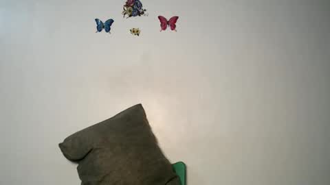 Luna online show from 11.22.25