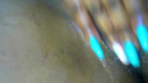 Snapshot of sexybaddie_ chatting on 11.19.25 Lisa online show from 11.19.25