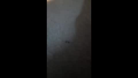 Snapshot of sexybooty26 chatting on 04.03.26 PhatBootyLightBright online show from 04.03.26