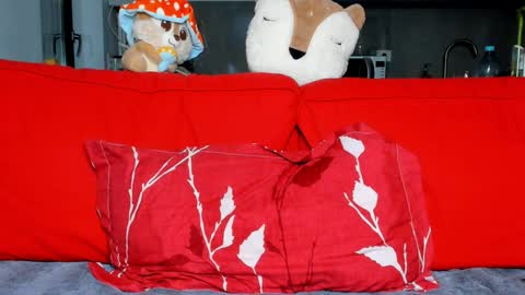 Ari online show from 12.16.24