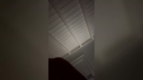 Snapshot of sexyfunpartners chatting on 03.29.26 sexyfunpartners online show from 03.29.26