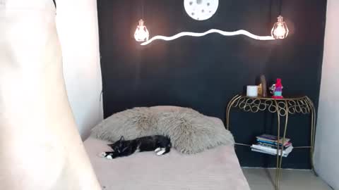 Snapshot of sexykata_of chatting on 12.15.24 Kata sexy online show from 12.15.24