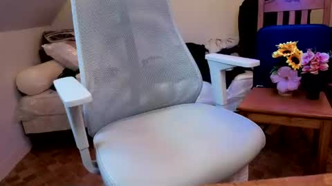 Vincent Vega online show from 08.01.26